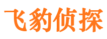 岳池外遇调查取证